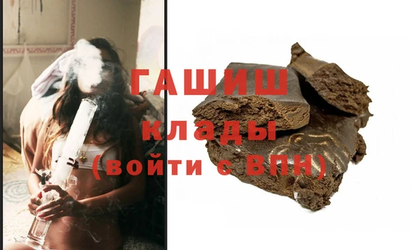 индика Новодвинск