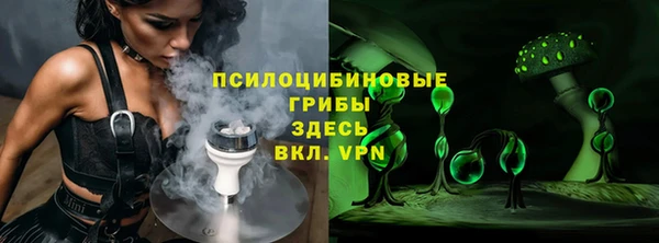 индика Новодвинск