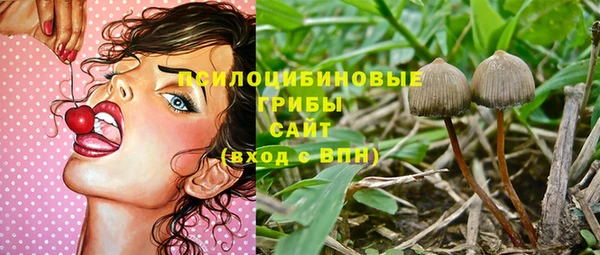 крисы Нея