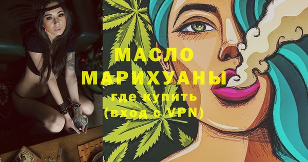 индика Новодвинск