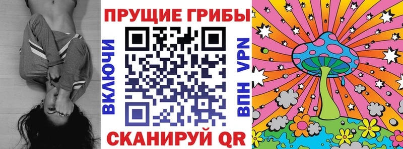 Псилоцибиновые грибы GOLDEN TEACHER  Кораблино 